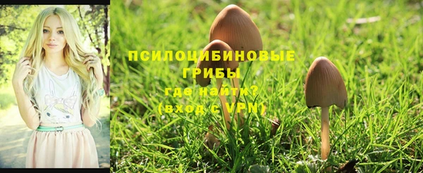 МДПВ Михайловск