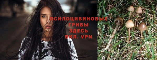 МДПВ Михайловск
