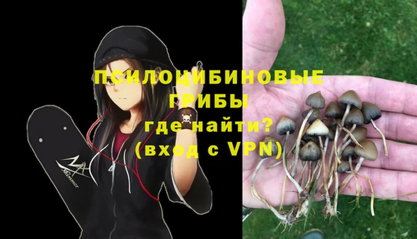 МДПВ Михайловск
