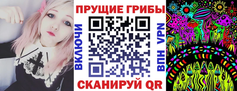 omg как войти  Новотитаровская  Псилоцибиновые грибы Psilocybe 